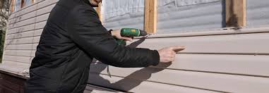 Best Siding Painting and Refinishing  in Briarcliff, TX